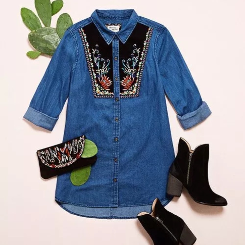 Chambray Anthropologie Holding Horses